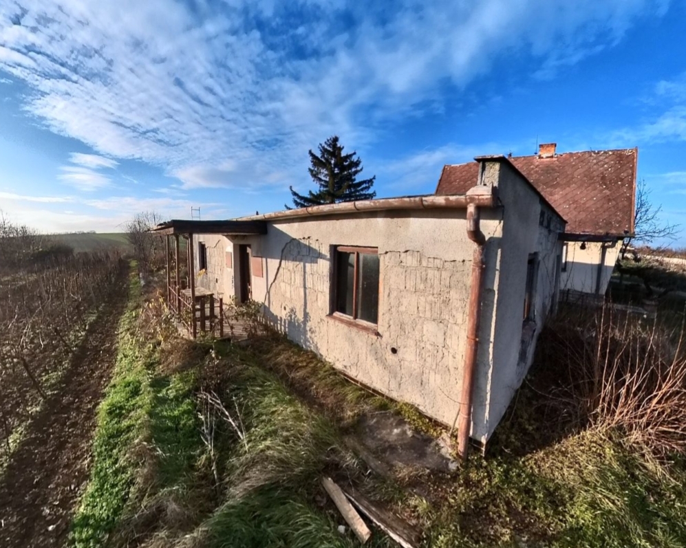 Predaj viničného domčeka, Vráble